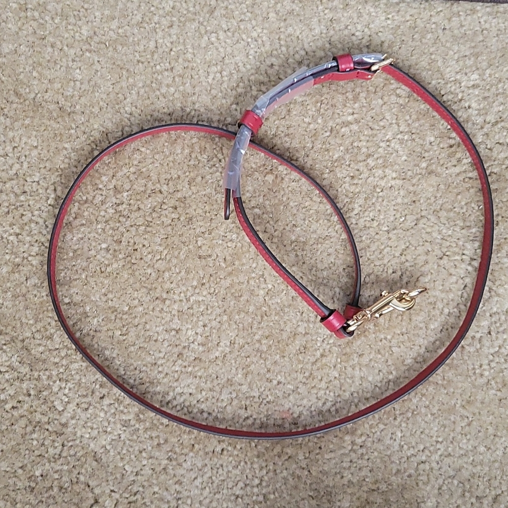 Coach strap